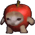 Apple Cat Spin