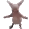 Bingus Dance
