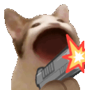 Popcat Gun